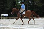 So8ths-5-4-12-Dressage-1345-MichaelLindsey-Hilife-DDeRosaPhoto