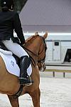 So8ths-5-4-12-Dressage-1360-SarahZimmer-MardiGras-DDeRosaPhoto