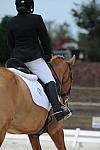 So8ths-5-4-12-Dressage-1369-SarahZimmer-MardiGras-DDeRosaPhoto