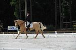 So8ths-5-4-12-Dressage-1413-JamieMiess-InTheZone-DDeRosaPhoto