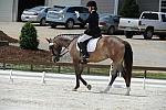 So8ths-5-4-12-Dressage-1454-KelseyBriggs-CuttersSouthernJaz-DDeRosaPhoto