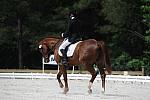 So8ths-5-4-12-Dressage-0877-KelseyBriggs-TheItalianJob-DDeRosaPhoto