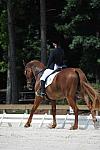 So8ths-5-4-12-Dressage-0930-KristinNeill-BigBonesBailey-DDeRosaPhoto