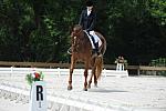 So8ths-5-4-12-Dressage-0932-KristinNeill-BigBonesBailey-DDeRosaPhoto