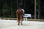 So8ths-5-4-12-Dressage-0943-KristinNeill-BigBonesBailey-DDeRosaPhoto