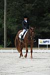 So8ths-5-4-12-Dressage-0945-KristinNeill-BigBonesBailey-DDeRosaPhoto