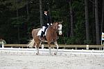 So8ths-5-4-12-Dressage-1026-BrianaTimmerman-ASplashofHenry-DDeRosaPhoto