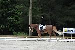 So8ths-5-4-12-Dressage-1034-BrianaTimmerman-ASplashofHenry-DDeRosaPhoto