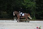 So8ths-5-4-12-Dressage-1035-BrianaTimmerman-ASplashofHenry-DDeRosaPhoto