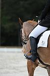 So8ths-5-4-12-Dressage-1042-BrianaTimmerman-ASplashofHenry-DDeRosaPhoto