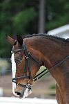 So8ths-5-4-12-Dressage-1051-KindellBillingsley-Keeneland-DDeRosaPhoto