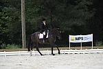 So8ths-5-4-12-Dressage-1132-SarahMorton-Womble-DDeRosaPhoto