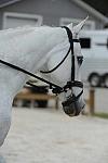So8ths-5-4-12-Dressage-1149-DCMcBroom-GroundForce-DDeRosaPhoto