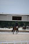 So8ths-5-4-12-Dressage-0347-CarolOgden-InRhythm-DDeRosaPhoto