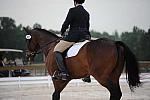 So8ths-5-4-12-Dressage-0352-CarolOgden-InRhythm-DDeRosaPhoto