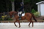So8ths-5-4-12-Dressage-0405-KerryTracey-BourbonGingerbear-DDeRosaPhoto