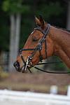 So8ths-5-4-12-Dressage-0447-LaurenTracey-Ransom-DDeRosaPhoto