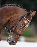 So8ths-5-4-12-Dressage-0468-JordanLambert-RioWild-DDeRosaPhoto