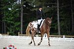 So8ths-5-4-12-Dressage-0485-JordanLambert-RioWild-DDeRosaPhoto
