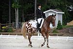 So8ths-5-4-12-Dressage-0486-JordanLambert-RioWild-DDeRosaPhoto