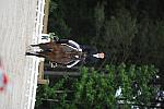 So8ths-5-4-12-Dressage-0500-KatellynPadgett-AddedMoney-DDeRosaPhoto