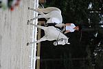 So8ths-5-4-12-Dressage-0526-CathyBlackmon-HideawaysSpecialDelivery-DDeRosaPhoto