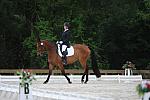 So8ths-5-4-12-Dressage-0577-RachelWade-Nicole-DDeRosaPhoto