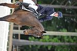 So8ths-5-4-12-Dressage-0600-LindsayStaianoWilliams-TriumphII-DDeRosaPhoto