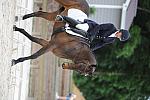 So8ths-5-4-12-Dressage-0607-LindsayStaianoWilliams-TriumphII-DDeRosaPhoto