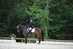 So8ths-5-4-12-Dressage-0618-LindsayStaianoWilliams-TriumphII-DDeRosaPhoto
