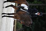 So8ths-5-4-12-Dressage-0631-LindsayStaianoWilliams-TriumphII-DDeRosaPhoto