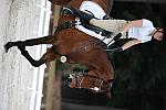 So8ths-5-4-12-Dressage-0696-AllieKeresman-MysticDora-DDeRosaPhoto