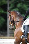 So8ths-5-4-12-Dressage-0738-HeidiBeaumont-SouthBoundary-DDeRosaPhoto