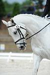 So8ths-5-4-12-Dressage-0791-KaylinMedlin-Watch-Me-Now-DDeRosaPhoto