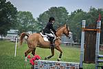 So8ths-5-6-12-SJDay-5203-SarahZimmer-MardiGras-DDeRosaPhoto