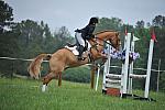 So8ths-5-6-12-SJDay-5204-SarahZimmer-MardiGras-DDeRosaPhoto