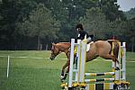 So8ths-5-6-12-SJDay-5222-SarahZimmer-MardiGras-DDeRosaPhoto