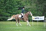 So8ths-5-6-12-SJDay-4857-BrianaTimmerman-ASplashofHenry-DDeRosaPhoto