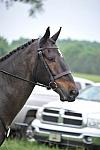 So8ths-5-6-12-SJDay-4925-SarahMorton-Womble-DDeRosaPhoto