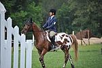 So8ths-5-6-12-SJDay-4441-JordanLambert-RioWild-DDeRosaPhoto