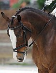 So8ths-5-4-12-Dressage-1050-KindellBillingsley-Keeneland-DDeRosaPhoto-1 - Copy