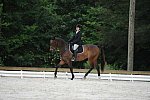 So8ths-5-4-12-Dressage-0651-GwenKriskie-Barney-DDeRosaPhoto