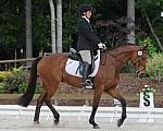 So8ths-5-4-12-Dressage-0443-LaurenTracey-Ransom-DDeRosaPhoto