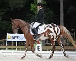 So8ths-5-4-12-Dressage-0460-JordanLambert-RioWild-DDeRosaPhoto