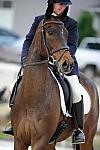 So8ths-5-4-12-Dressage-0585-LindsayStaianoWilliams-TriumphII-DDeRosaPhoto