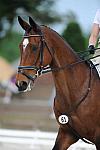 So8ths-5-4-12-Dressage-0694-AllieKeresman-MysticDora-DDeRosaPhoto