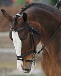 So8ths-5-4-12-Dressage-1050-KindellBillingsley-Keeneland-DDeRosaPhoto