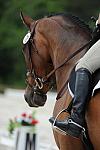 So8ths-5-4-12-Dressage-1076-BeckyBrown-TotallyBroke-DDeRosaPhoto