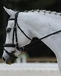 So8ths-5-4-12-Dressage-1155-DCMcBroom-GroundForce-DDeRosaPhoto