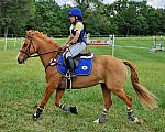So8ths2-5-5-12-XCDay-3660-SarahZimmer-MardiGras-DDeRosaPhoto